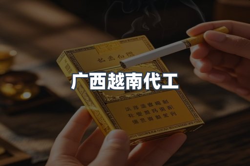 广西越南代工